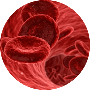 Cell